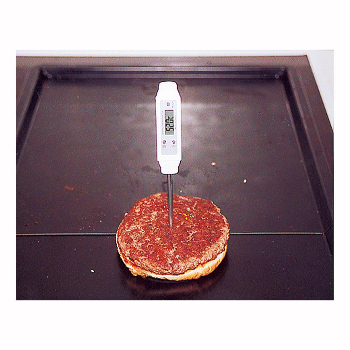 Food Check Thermometer with Penetration Probe - PSE - Priggen